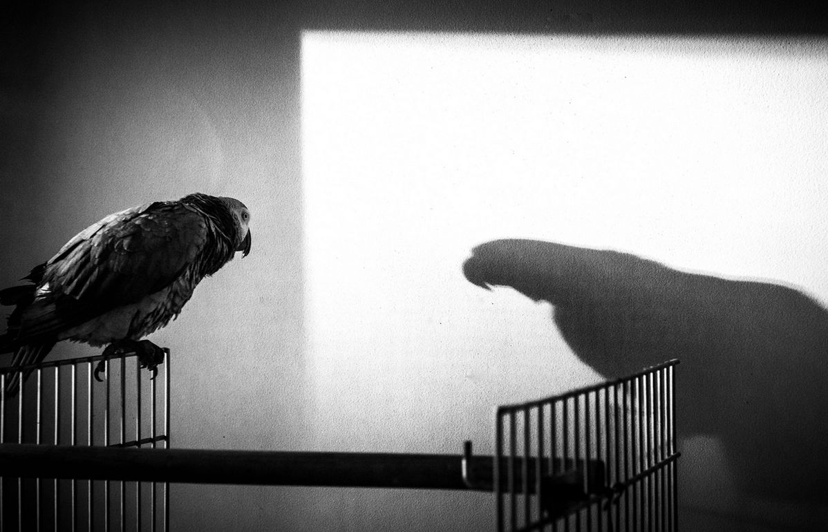 Δηλαδή, πώς θα ανατραπεί ο Τσίπρας;