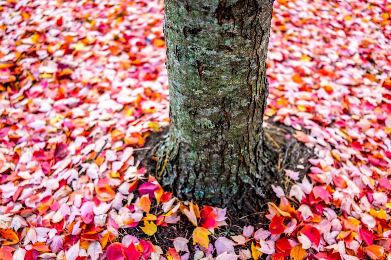 Τέλος εποχής