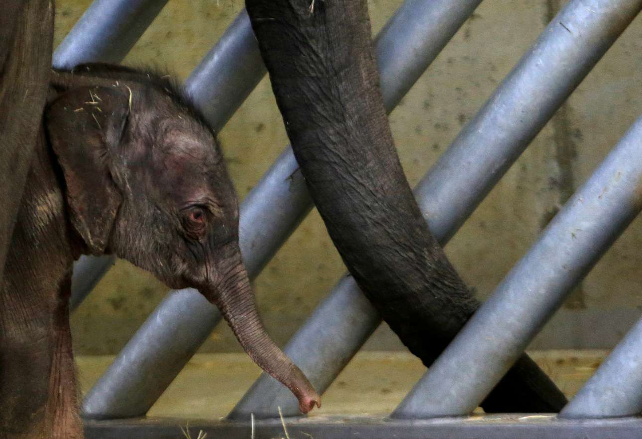 Το TripAdvisor προτιμά ταξιδιώτες με… οικολογική συνείδηση