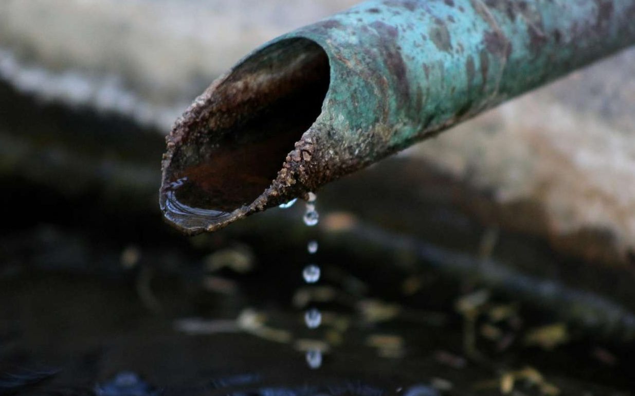 Η κομμένη γράνα