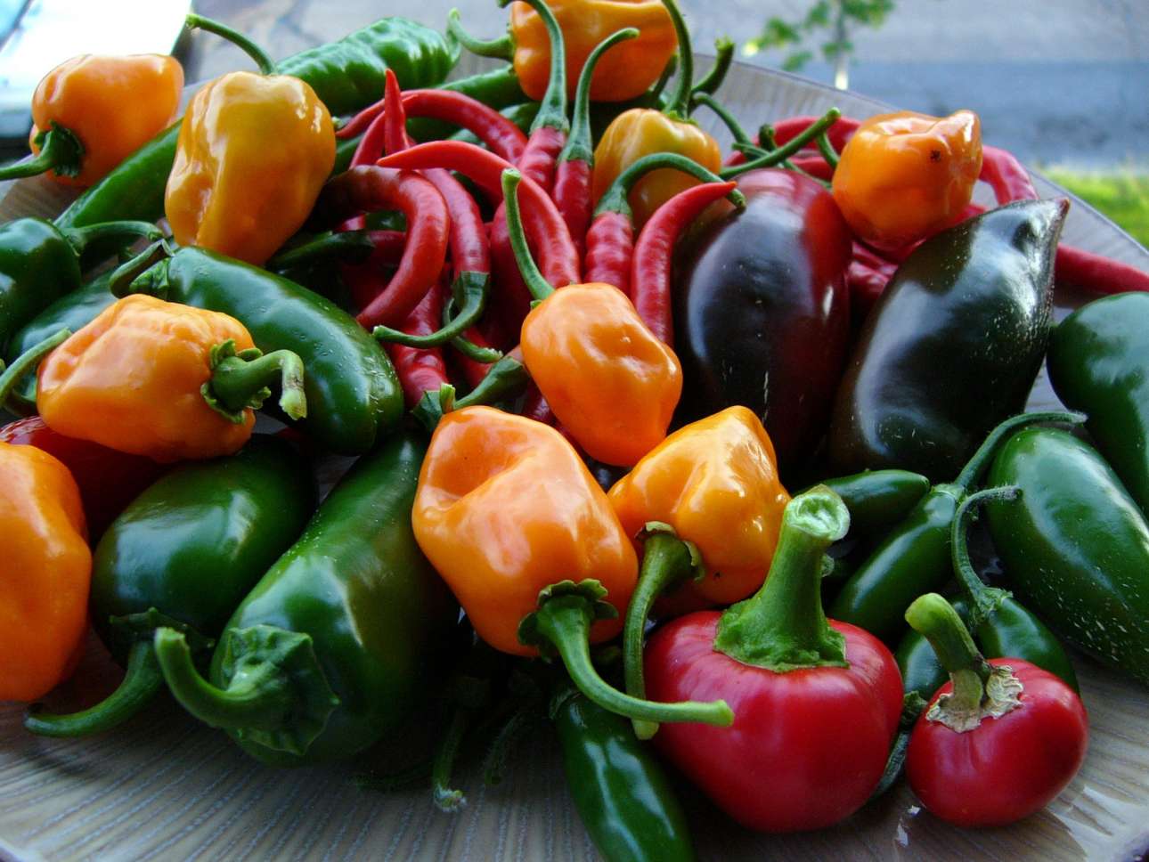 Much pepper. Контраст зеленые овощи и красный перец. Красный перец 106. Pepper вото. Cowhorn long (острый перец бычий Рог длинный).
