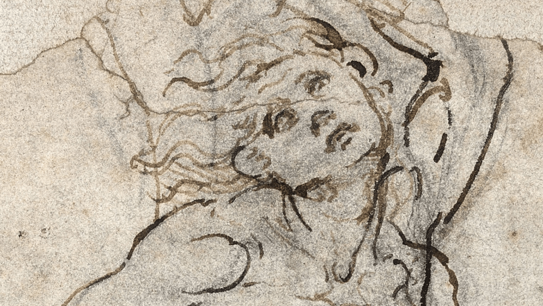 Γιατί η Γαλλία έγινε άνω κάτω με το άγνωστο σκίτσο του Ντα Βίντσι