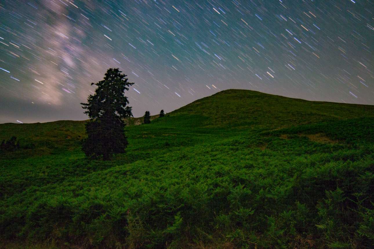Πετρίλο Καρδίτσας 