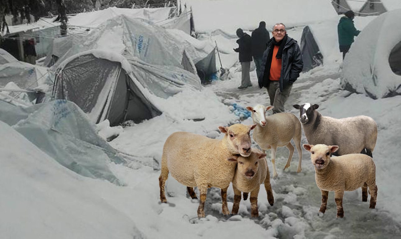 Ματαιώθηκε πάλι η εκκένωση της Μόριας – Κοπάδι προβάτων έκλεισε τον δρόμο!