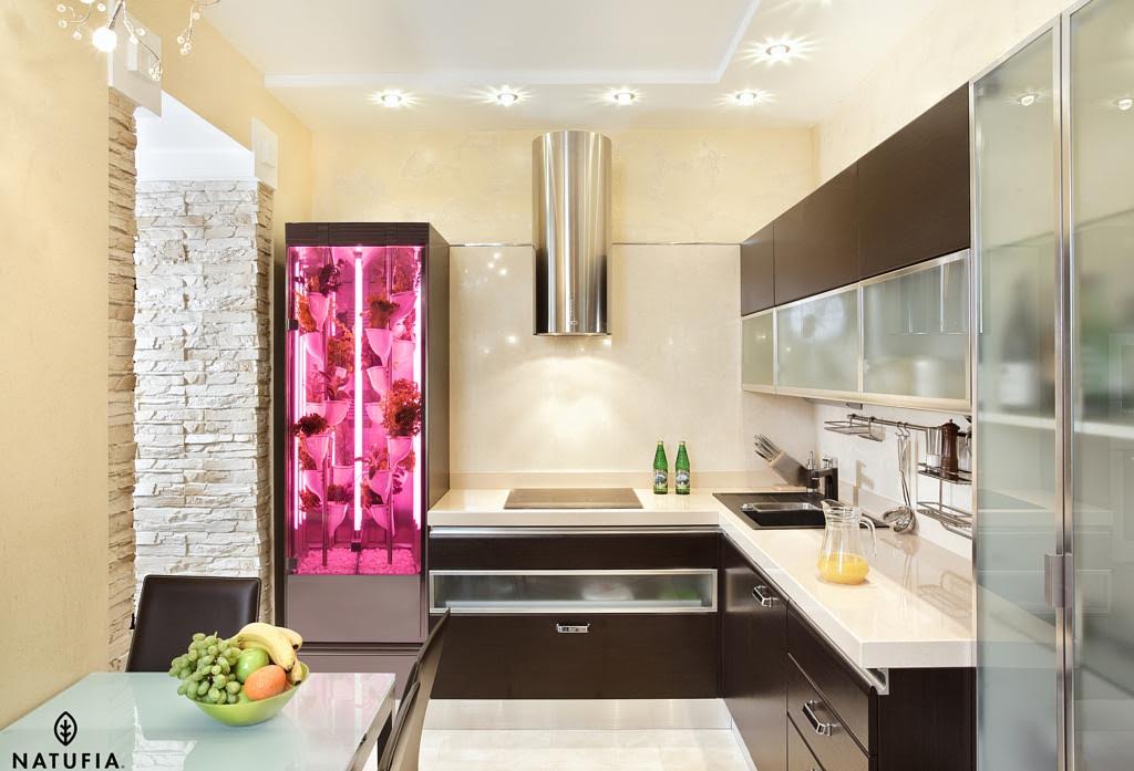 Και εγένετο οικιακό θερμοκήπιο!