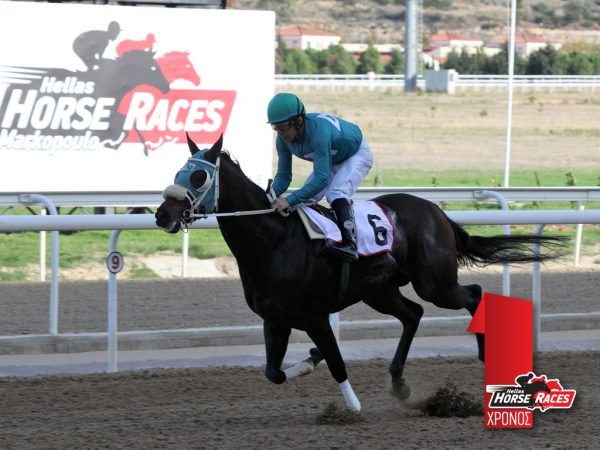 Horse Races SA (2)