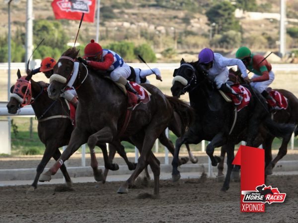 Horse Races SA (3)