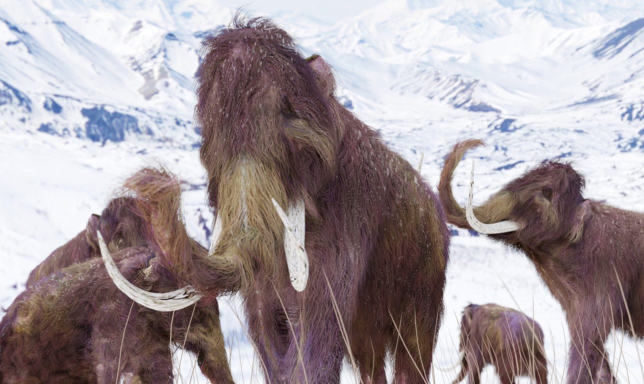 Θέλουν να αναστήσουν τα μαμούθ!