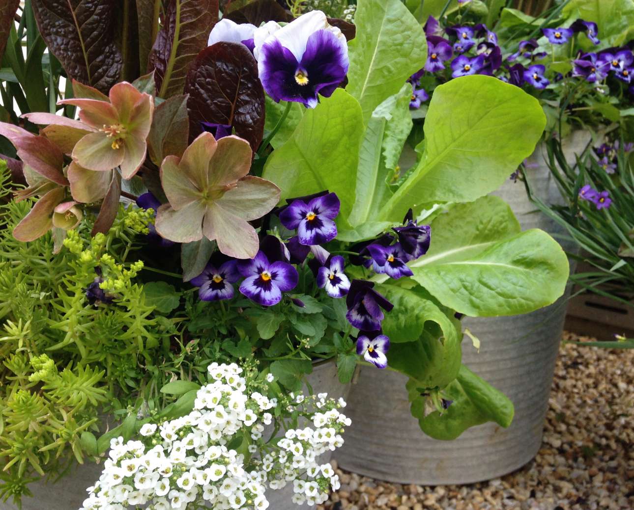 Ωρα να μεταφυτεύσουμε!