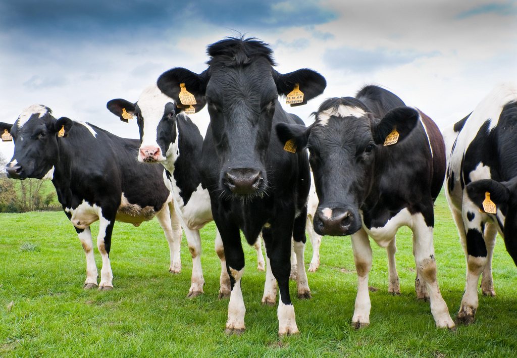 Το παραμύθι της αγ-Ελλάδας