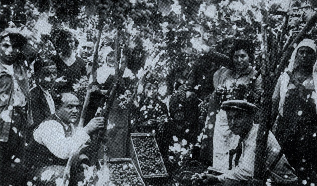 Σταφίδα, ιστορία και κληρονομιά ενός προϊόντος στο Ιστορικό Αρχείο ΠΙΟΠ