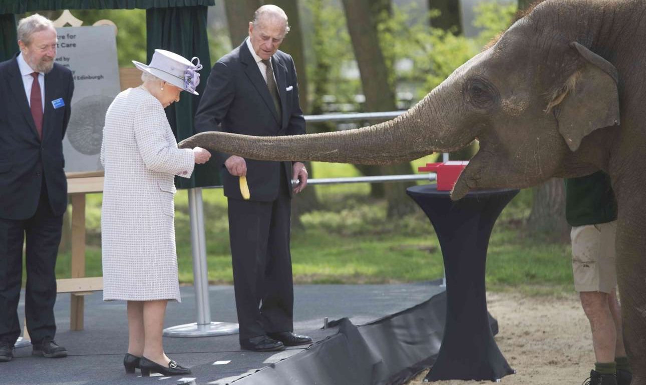 Η Ελισάβετ Β’ ταΐζει στο στόμα ελέφαντες!