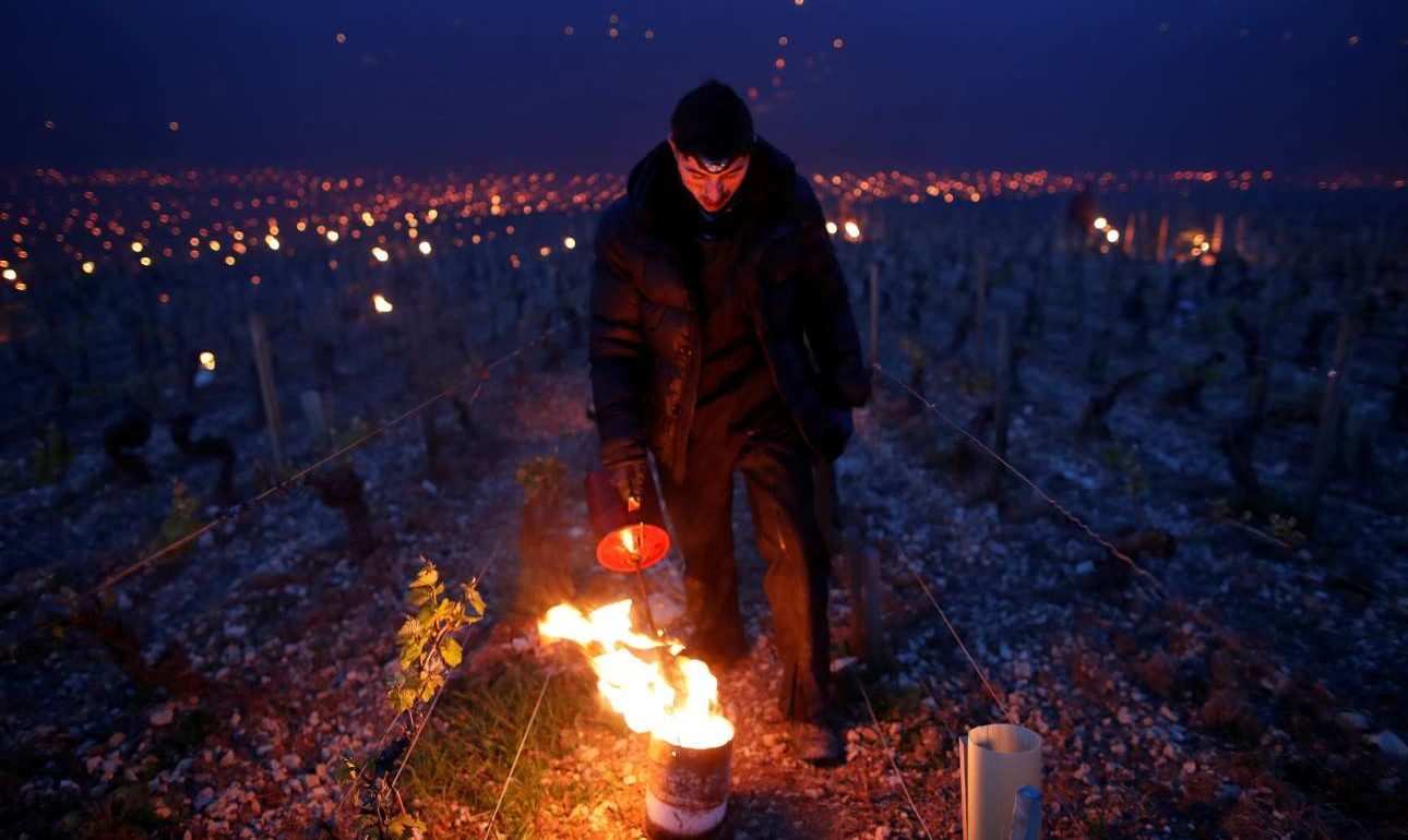 Κεριά και θερμάστρες για να σωθούν τα γαλλικά αμπέλια από την παγωνιά