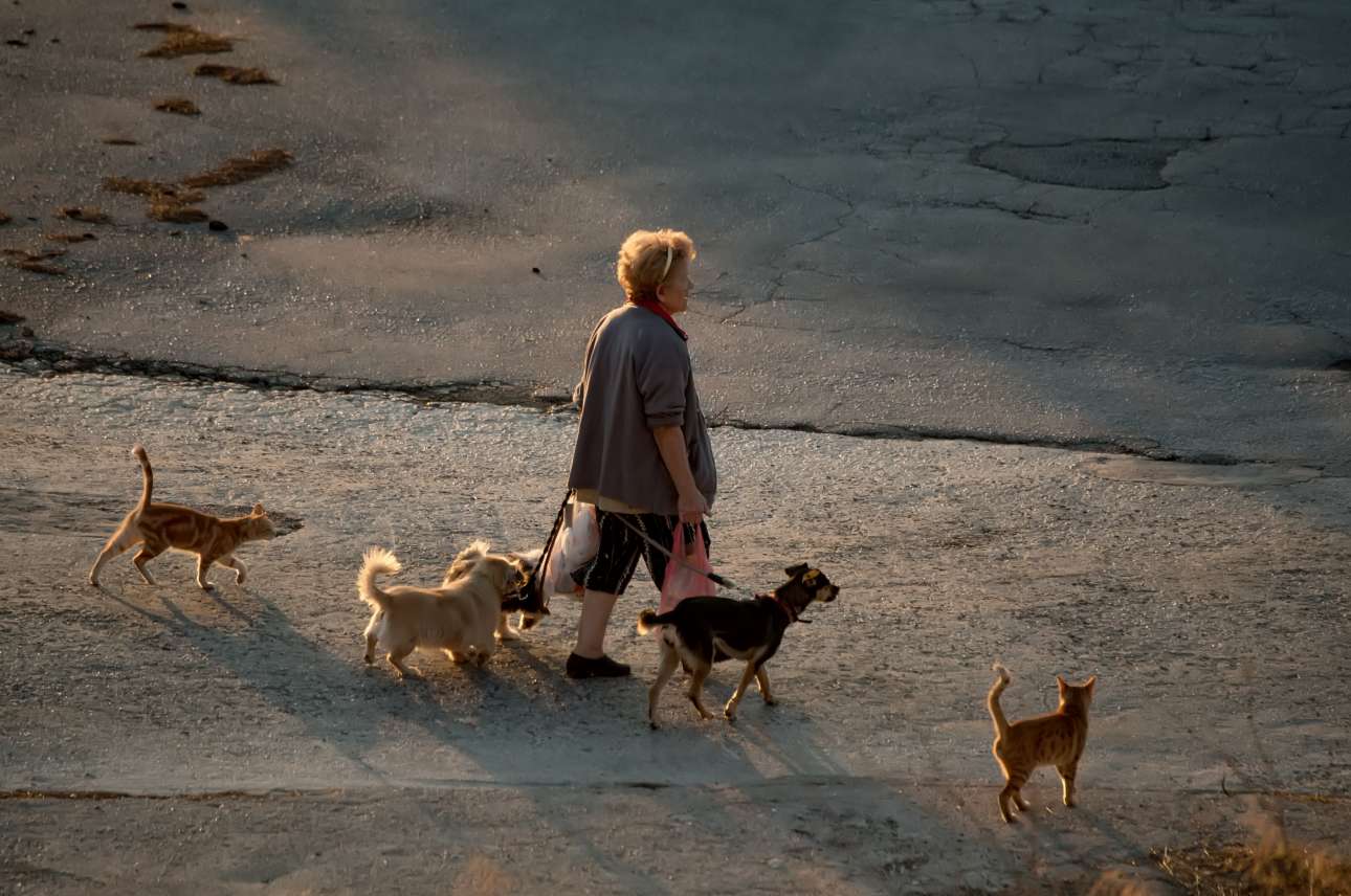 Η πρώτη ασιατική χώρα που απαγορεύει την κατανάλωση γάτων και σκύλων