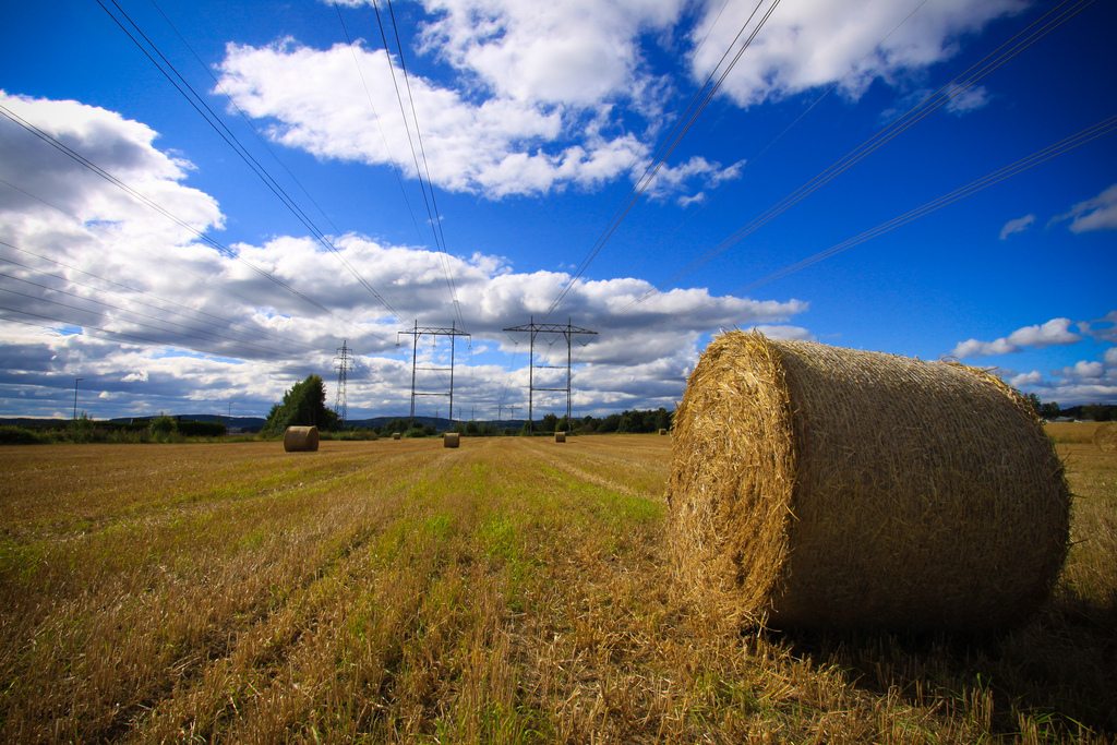 Ο Νίκος Παππάς, το ταξίδι και ο βενεζουελάνικος heno