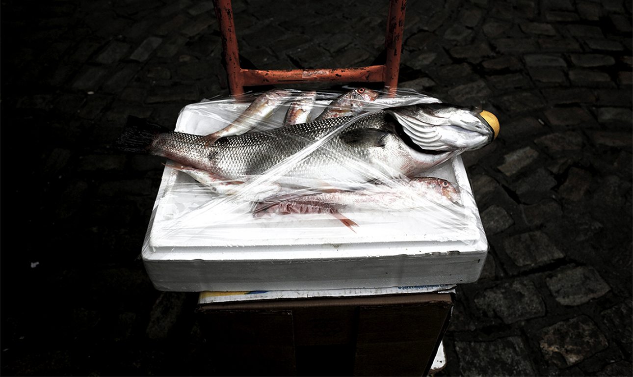 Εσύ τι ψάρια πιάνεις; Παίξε το κουίζ της WWF και κέρδισε