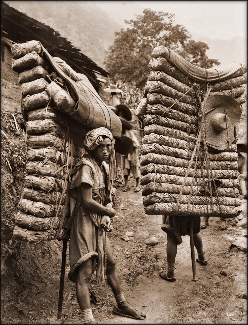 Αγρότες κουβαλούν φύλλα τσαγιού στην πλάτη τους. Τα δέματα με τα φύλλα ζύγιζαν πάνω από 100 κιλά και οι άνδρες έπρεπε να τα μεταφέρουν σε απόσταση 180 χιλιομέτρων. Η παραπάνω φωτογραφία τραβήχτηκε στην επαρχία Σετσουάν της Κίνας το 1908