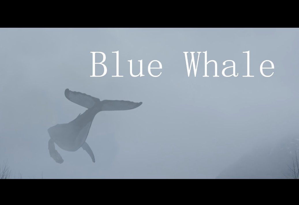 Παρέμβαση του Αρείου Πάγου για την «Μπλε Φάλαινα»