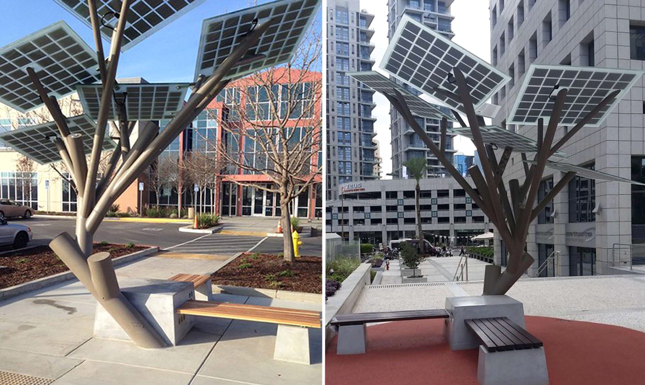 Βγάζουν «ρίζες» τα πρώτα… e-δέντρα!