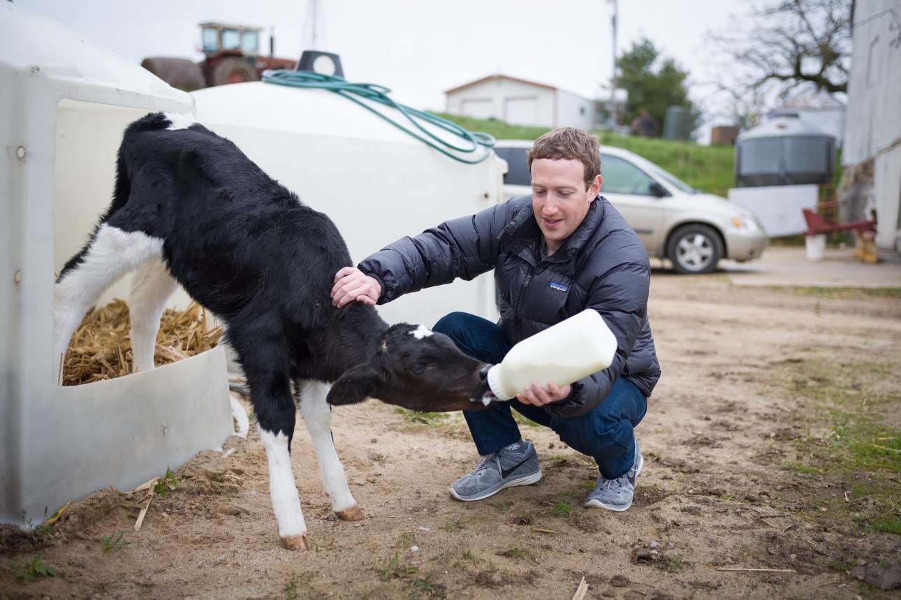 Πρωτομαγιά 2017. Ταΐζοντας ένα μοσχαράκι σε φάρμα στο Γουισκόνσιν