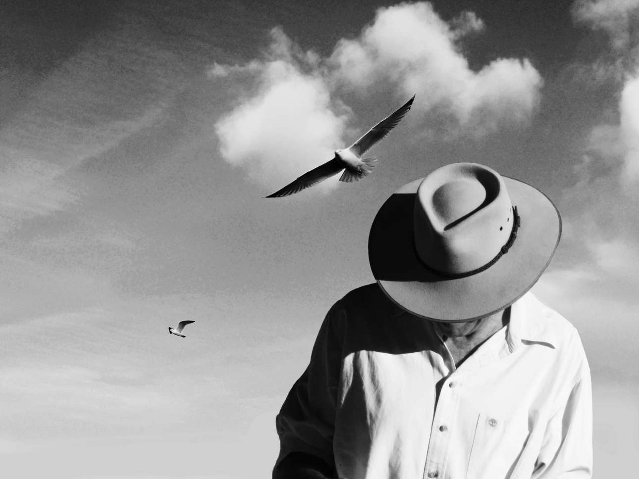 Αλλοτρίωση: Η έκπτωση του ανθρώπου