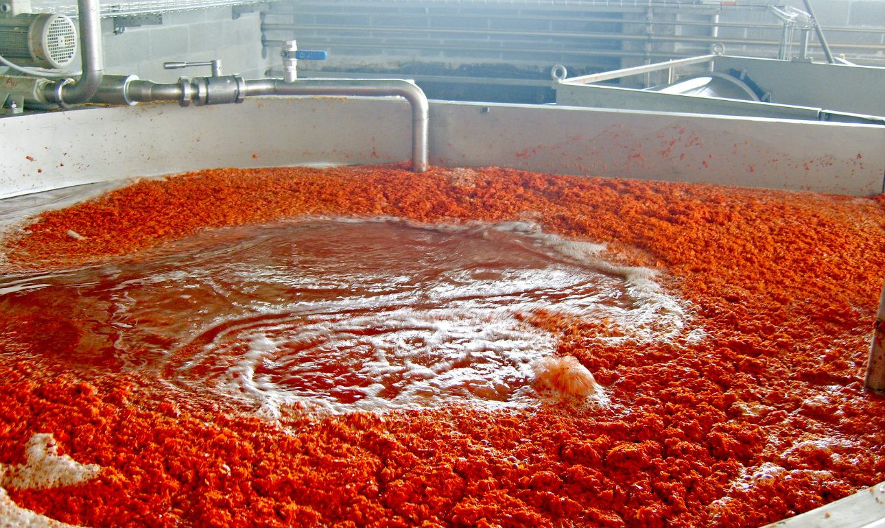 Οικολογικές συσκευασίες τροφίμων από τρόφιμα; Γιατί όχι…