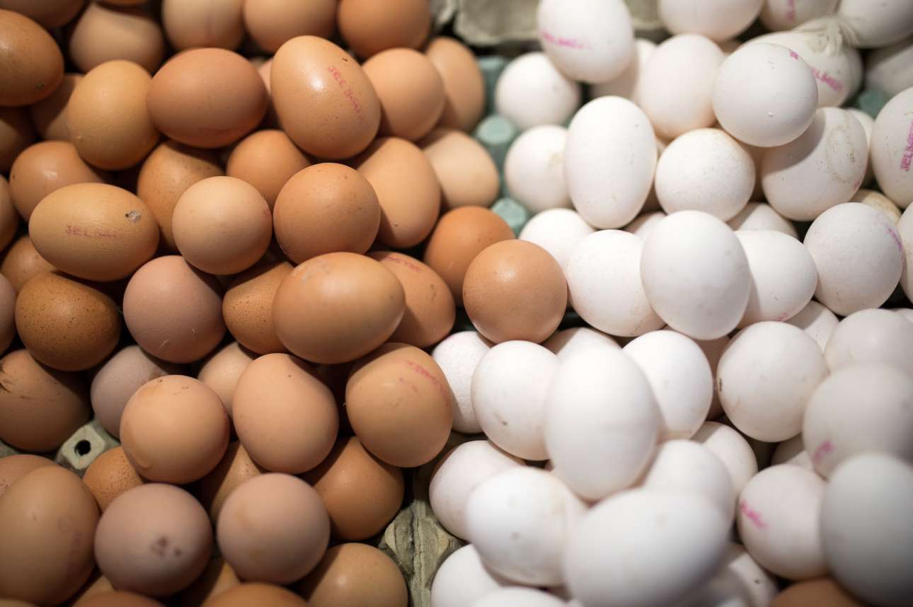 Προϊόντα αβγών μολυσμένα με εντομοκτόνο (και) στην Αυστρία