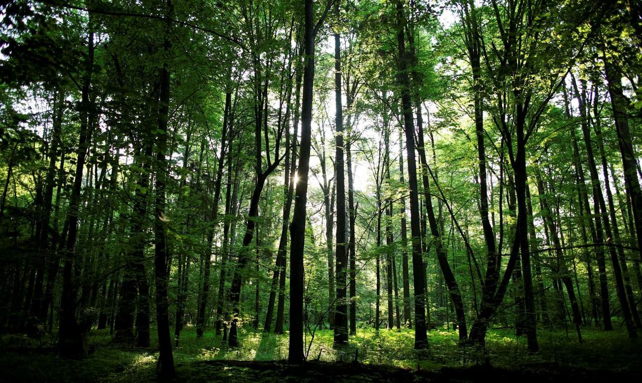 Oι άνθρωποι ζούμε πλέον με «πίστωση» από τον πλανήτη