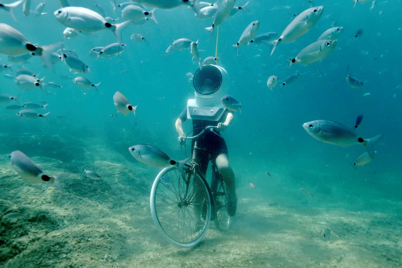 Βόλτα με το ποδήλατο και παρέα τα ψάρια. Μια φανταστική εμπειρία