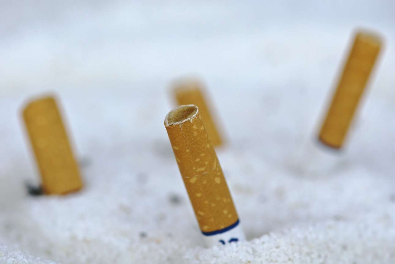 Ελληναράδες με γόπες στην άμμο