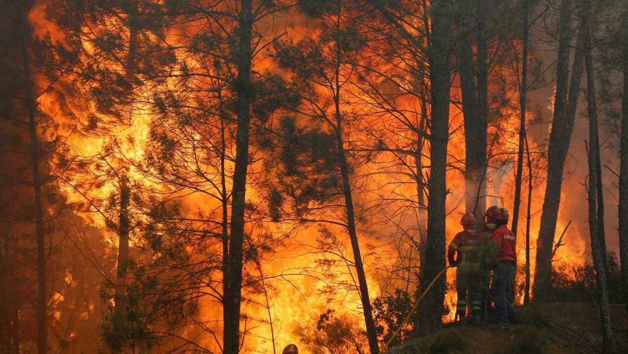 Περισσότερα από 1 εκατ. στρέμματα έχουν γίνει στάχτη στην Πορτογαλία
