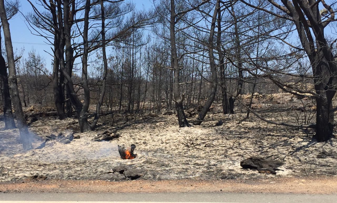 Οριοθετήθηκε το κυρίως μέτωπο της πυρκαγιάς στα Κύθηρα