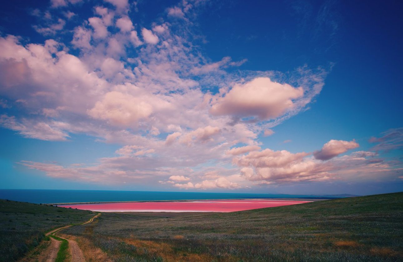 Η Ροζ Λίμνη στην Αυστραλία χρωστάει το εντυπωσιακό φυσικό της χρώμα στην καροτίνη που παράγεται από τα φύκια