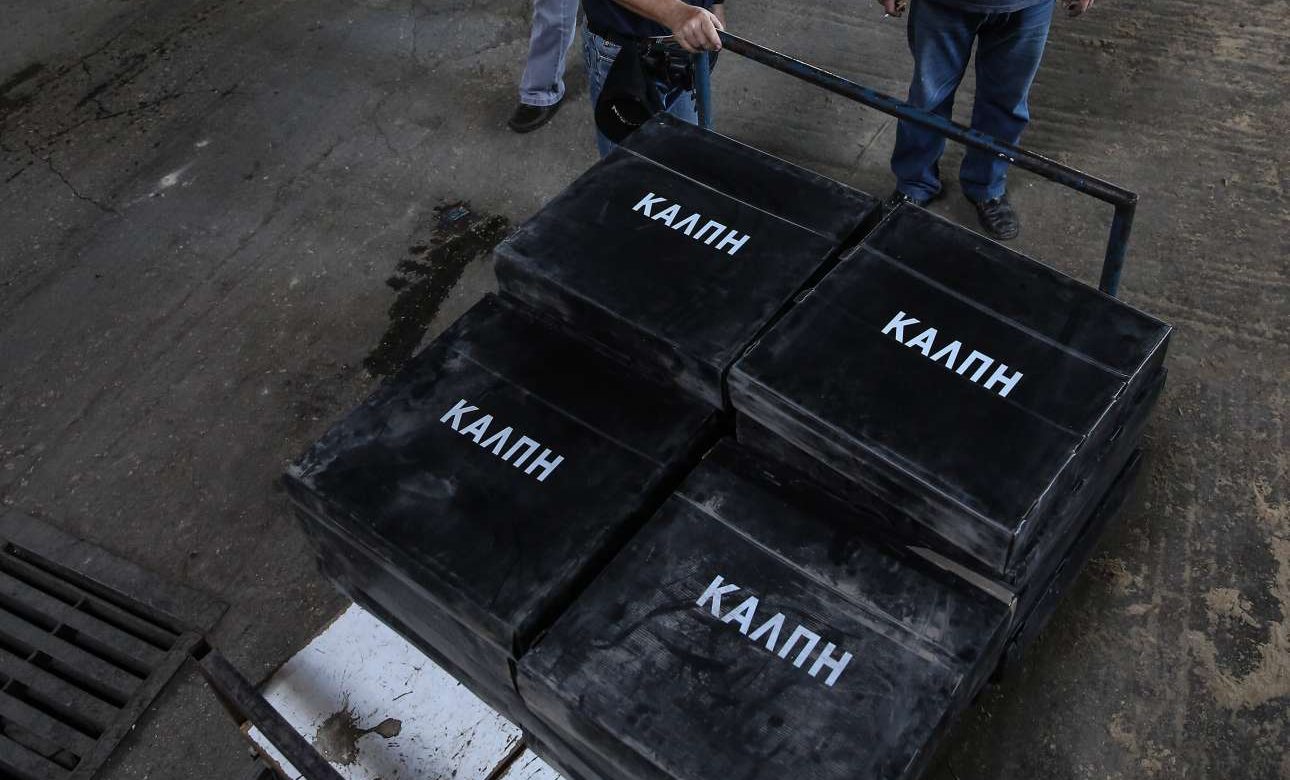 H Κεντροαριστερά, το σάλιο του γραμματόσημου και η ηλεκτρονική ψηφοφορία