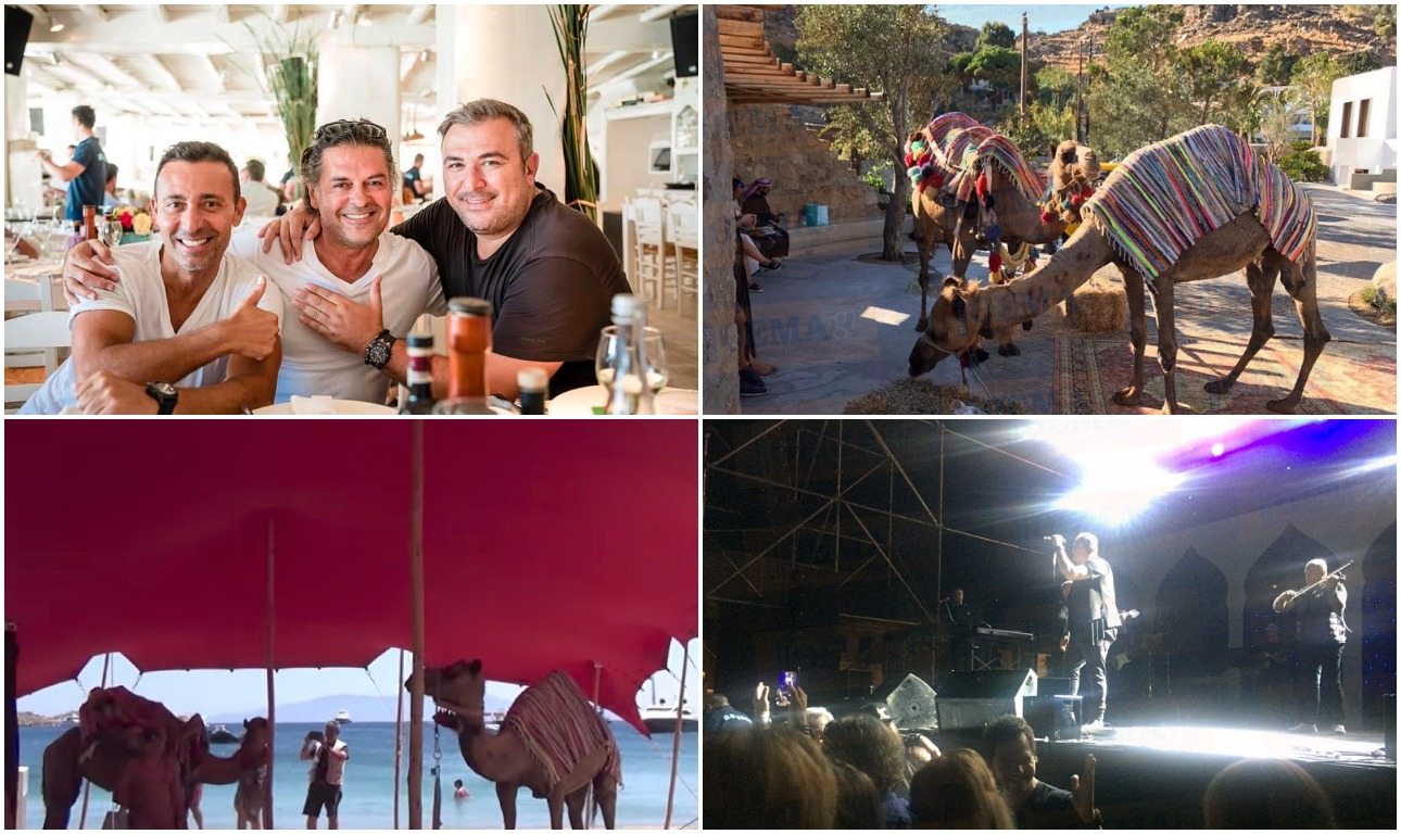 Ρέμος με ντεκόρ καμήλες; Τζίνιους!