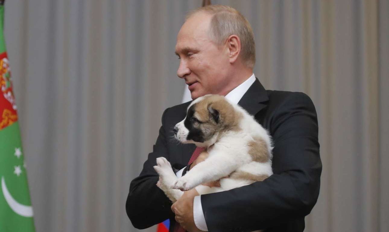 Ενα τσοπανόσκυλο, το νέο -απρόσμενο- δώρο γενεθλίων στον Πούτιν