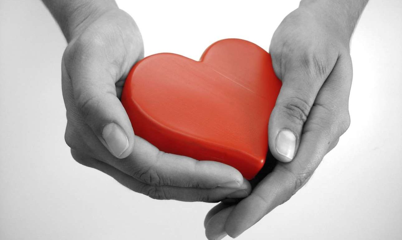 ΕΚΠΑ: Επιστημονική εκδήλωση για τη δωρεά οργάνων και μυελού