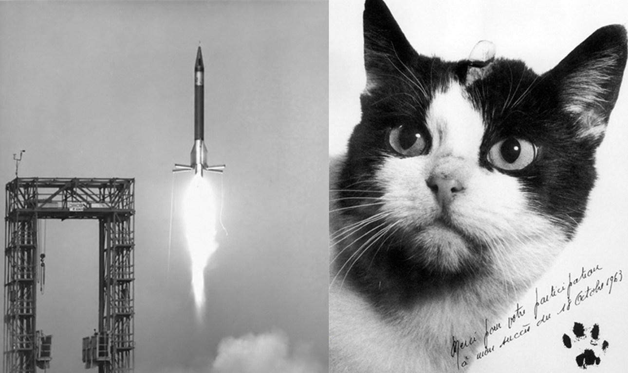 Μόνο η Φελισέτ αξίζει να γίνει άγαλμα;