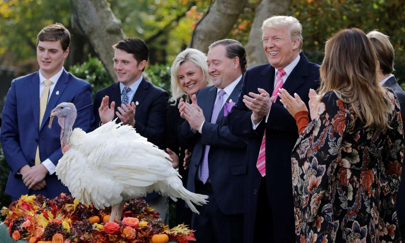 Ο Τραμπ έδωσε χάρη σε γαλοπούλα ενόψει των Ευχαριστιών