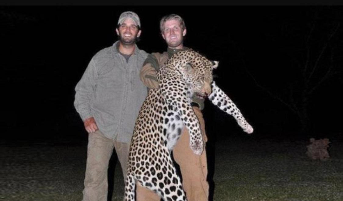 Τι συνδέει τους γιους του Τραμπ και τις εισαγωγές ειδών από άγρια ζώα