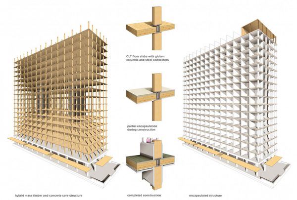 Ο ξύλινος σκελετός ενός ουρανοξύστη - έτσι δομείται το CLT (C.F. moller)