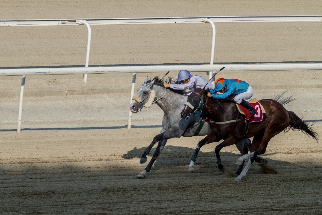 Ιππόδρομος: Στην τελική ευθεία για την ανάδειξη των πρωταθλητών χειμώνα