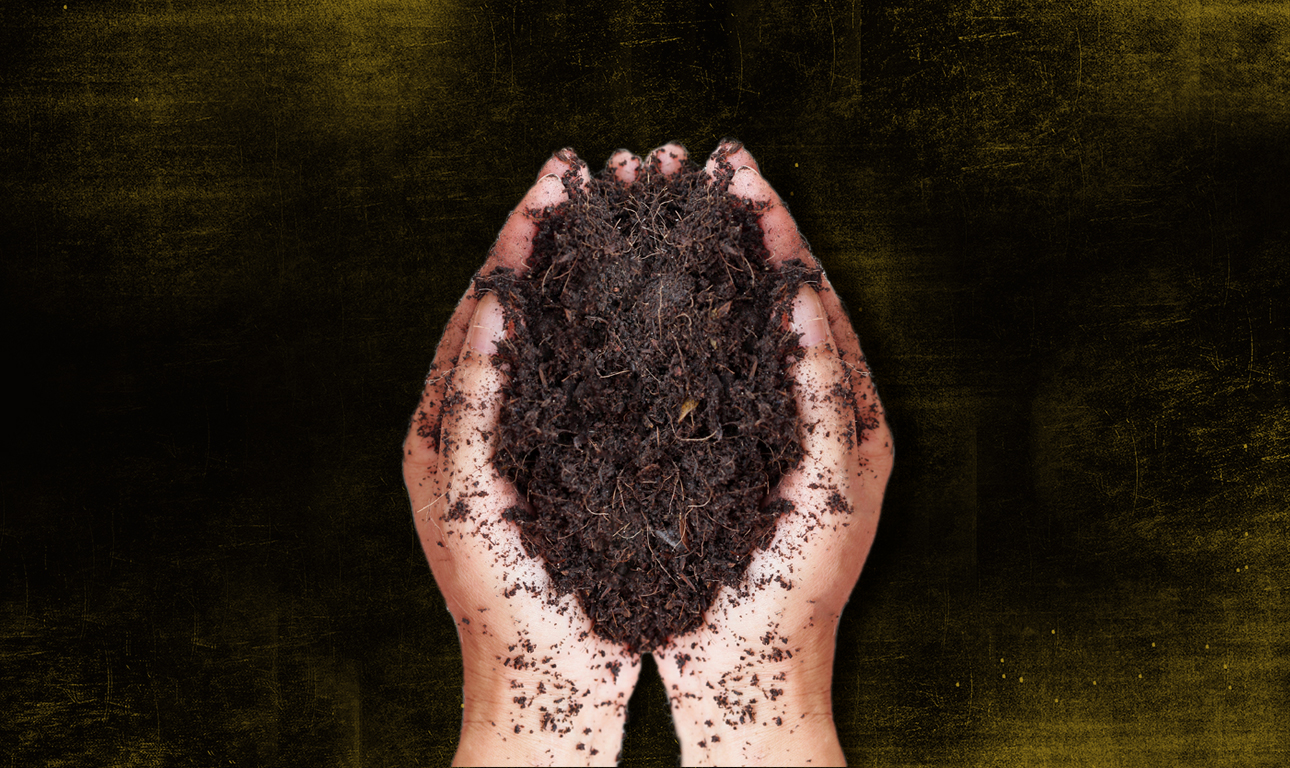 Φτιάξτε τον δικό σας οικολογικό «Μαύρο Χρυσό»