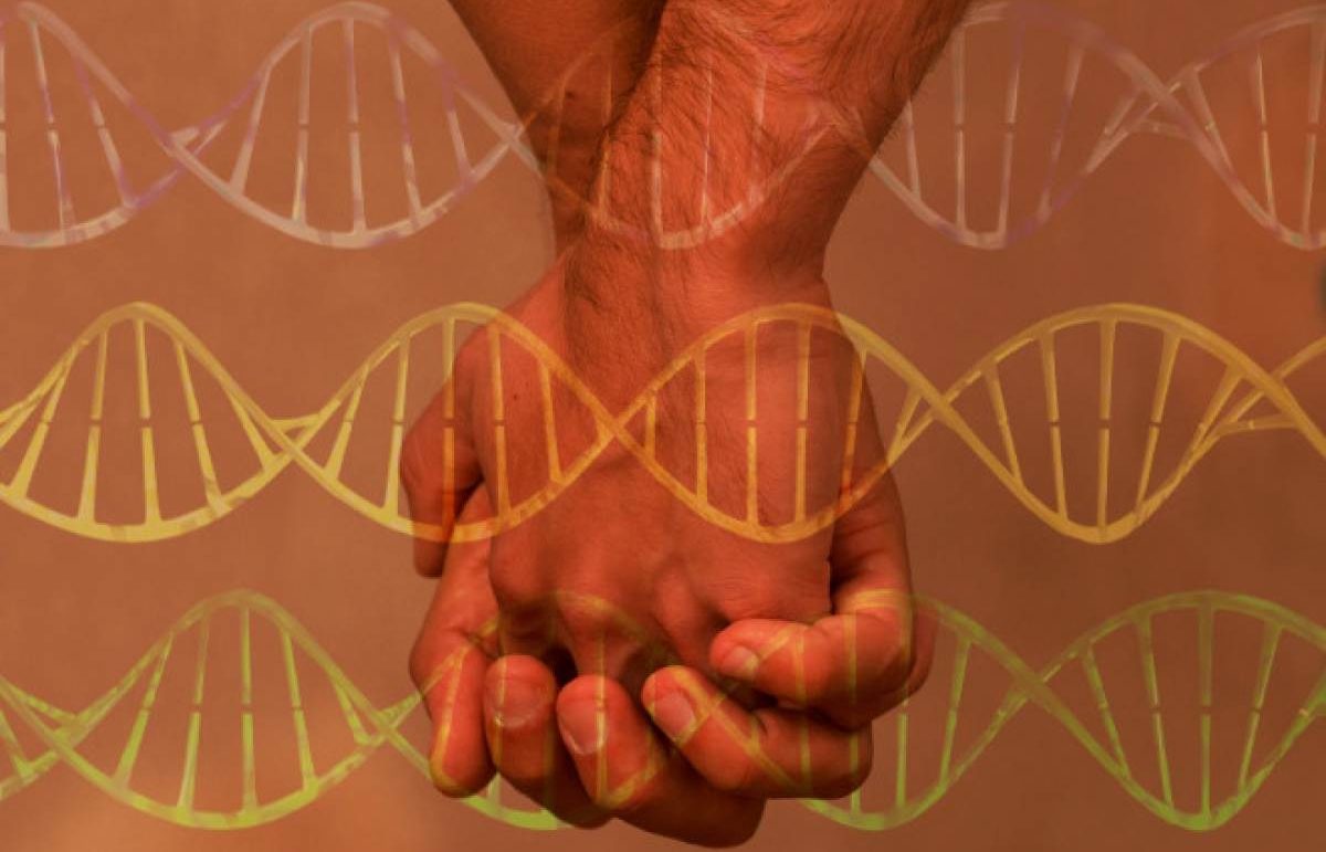 Υπάρχουν gay γονίδια;