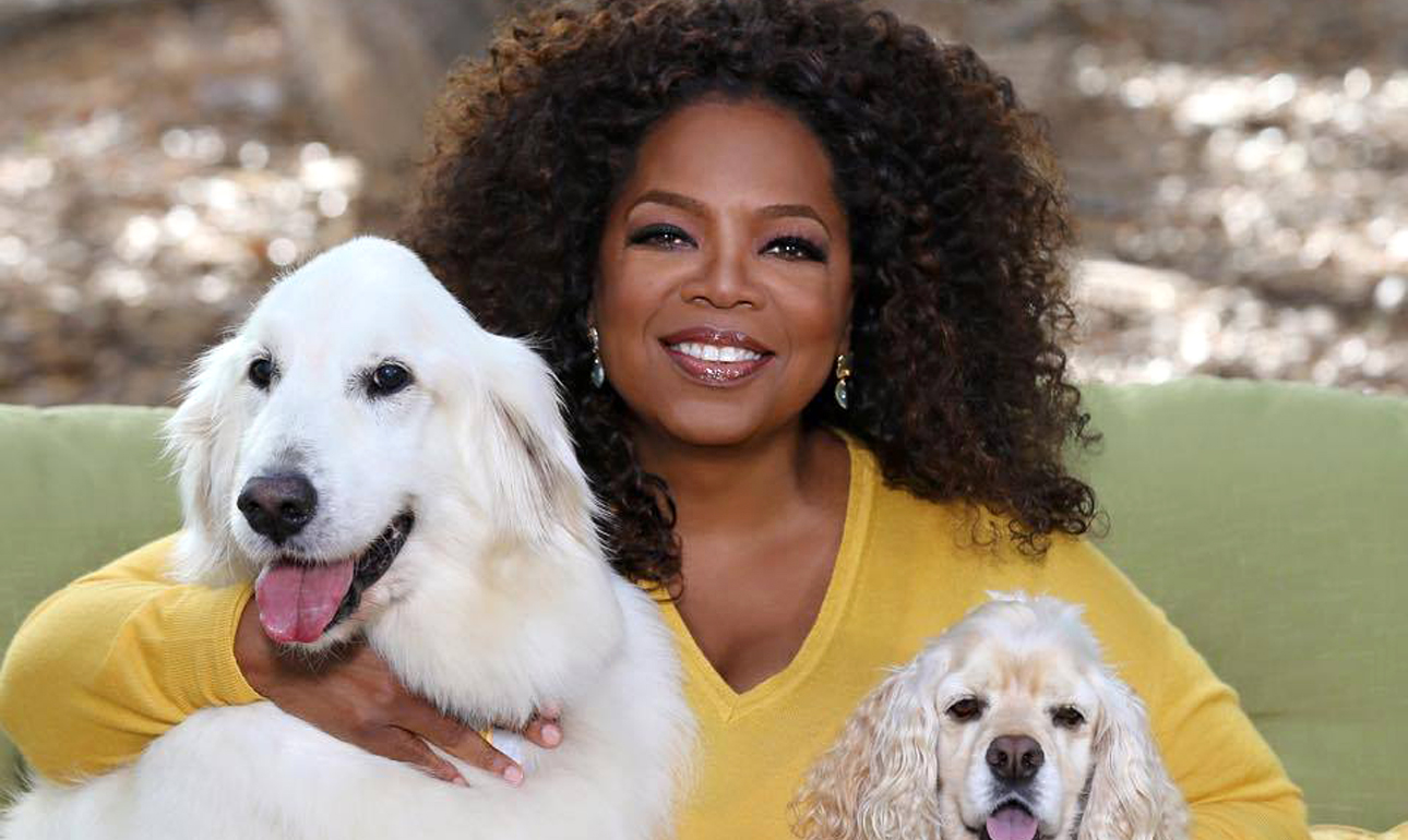 Η Οπρα Γουίνφρι για πρόεδρος; Δεν είναι το κατάλληλο πρόσωπο