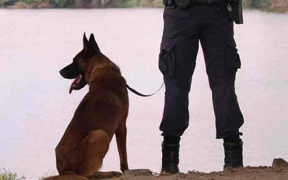 Ο αποχαιρετισμός της ΕΛ.ΑΣ. στον Satan