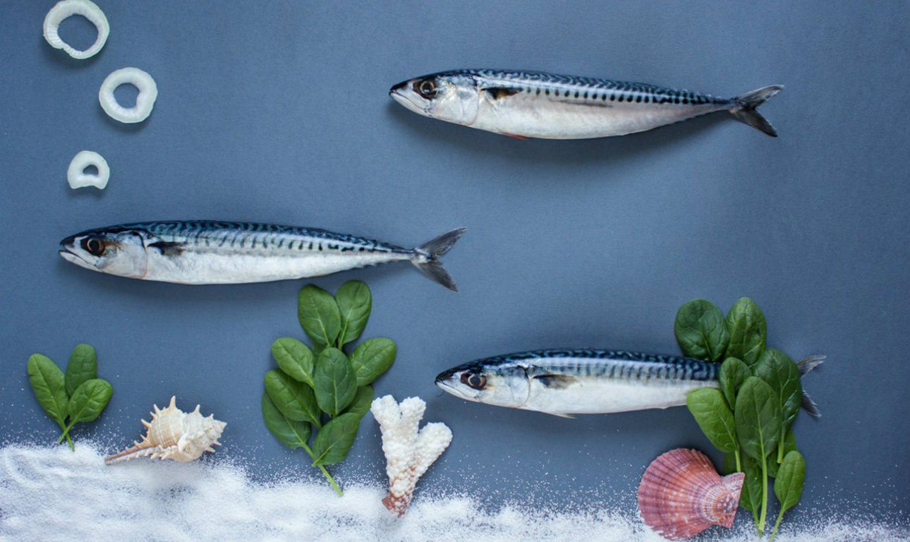 Ψάρια και θαλασσινά στο πιάτο μας – τι να προσέχουμε