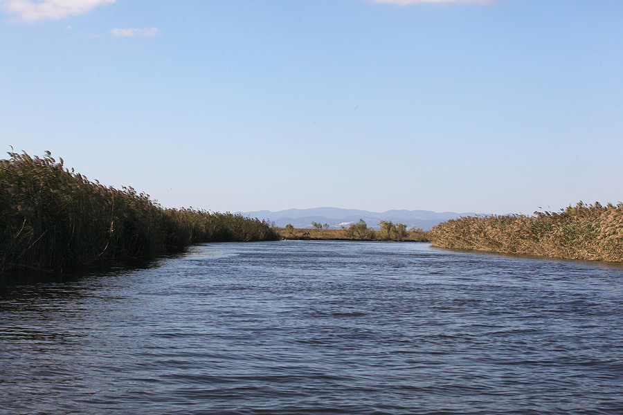 Spiegel: Πώς ο Εβρος έγινε «ποτάμι των νεκρών»