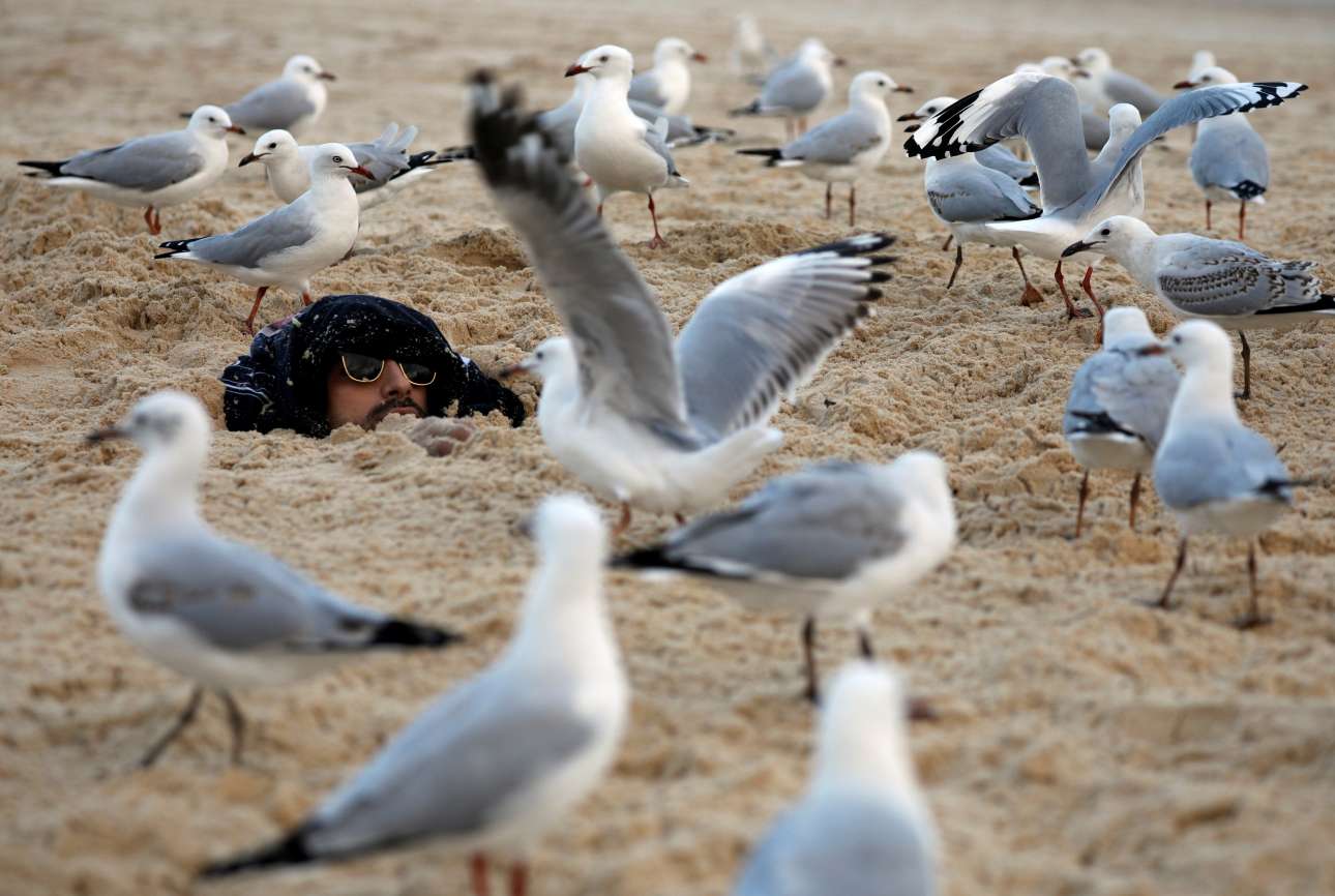 Παρασκευή, 20 Απριλίου, Αυστραλία. Γλάροι έχουν περικυκλώσει ένα άνδρα θαμμένο ως το πρόσωπο στην άμμο της παραλίας Μποντάι (Bondi Beach) στο Σίδνεϊ