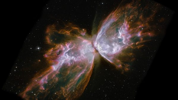 NASA's Hubble Space Telescope snapped this image of the planetary nebula, catalogued as NGC 6302, but more popularly called the Bug Nebula or the Butterfly Nebula. What resemble dainty butterfly wings are actually roiling cauldrons of gas heated to more than 36,000 degrees Fahrenheit. The gas is tearing across space at more than 600,000 miles an hour. A dying star that was once about five times the mass of the Sun is at the center of this fury. It has ejected its envelope of gases and is now unleashing a stream of ultraviolet radiation that is making the cast-off material glow. This object is an example of a planetary nebula, so-named because many of them have a round appearance resembling that of a planet when viewed through a small telescope. NGC 6302 lies within our Milky Way galaxy, roughly 3,800 light-years away in the constellation Scorpius. The glowing gas is the star's outer layers, expelled over about 2,200 years. The "butterfly" stretches for more than two light-years, which is about half the distance from the Sun to the nearest star, Alpha Centauri.